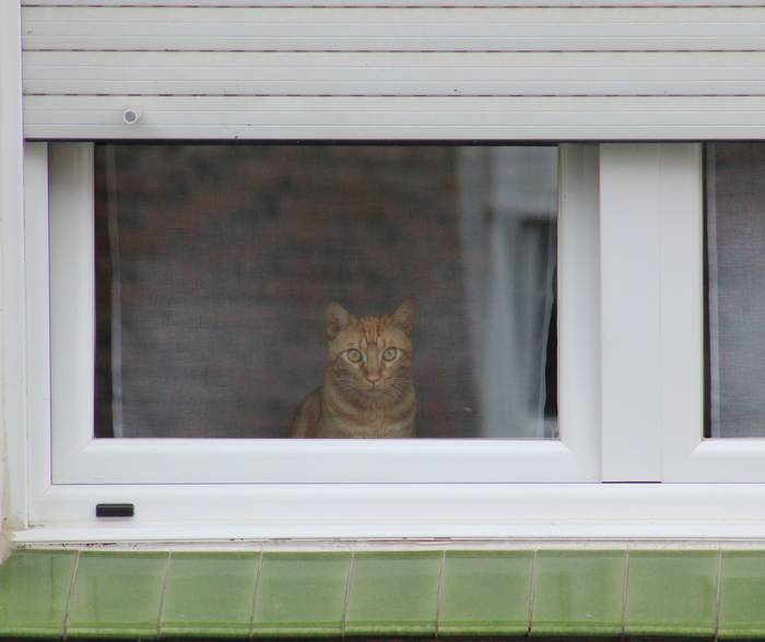 Larrazabal auzunean komunita 28 1588419649170