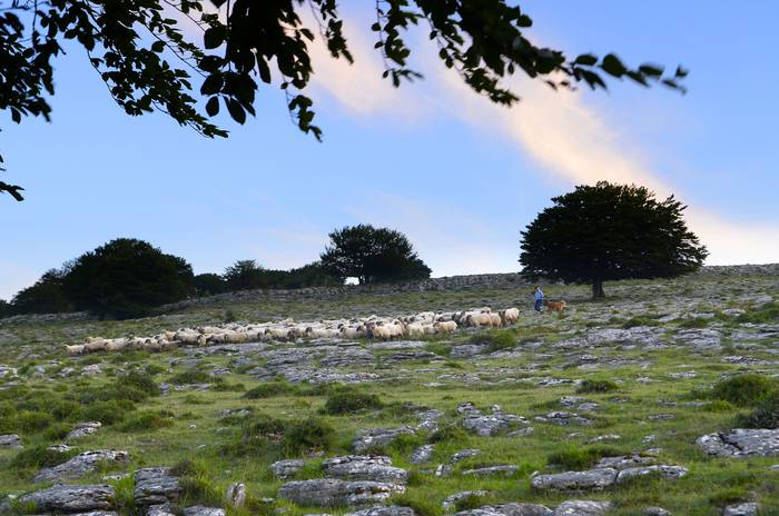 Abeltzaintzari buruzko dokum 5 1500543511643