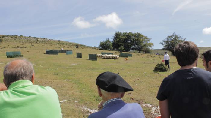 Sanbitoresak ospatzeko ehunk 181 1504513411284