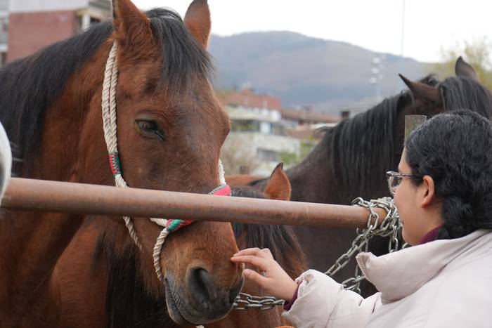 Euriak ez du zapuztu Dolumin 26 1774623138586