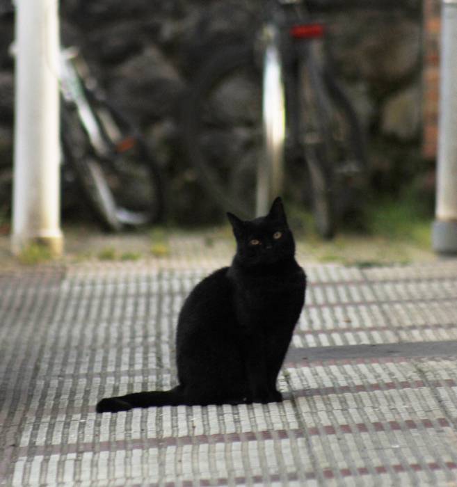 Larrazabal auzunean komunita 28 1588419632106