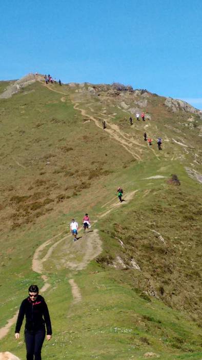 Herriko mendietako buzoiak b 7 1490130899887