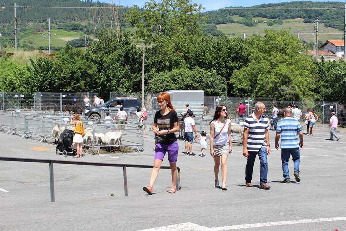 Txaroles lehiaketa batean ep 23 1497991756285