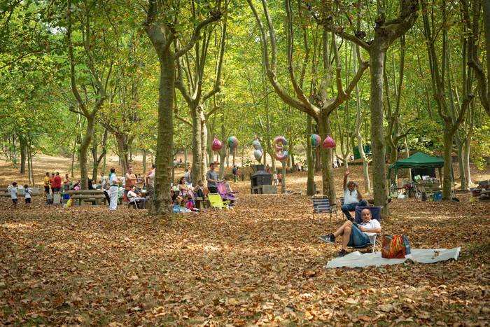 San Roke inguruan eman diete 51 1755434273669