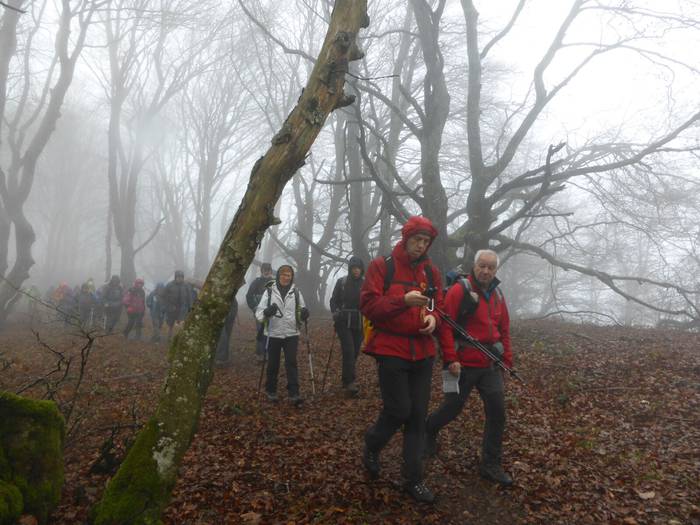 Laino artetik Santa Elena me 26 1511892628587