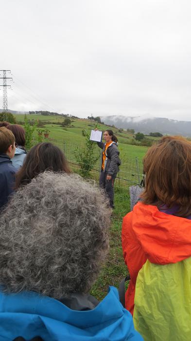 Herriko egitura geologikoa e 30 1508827410348