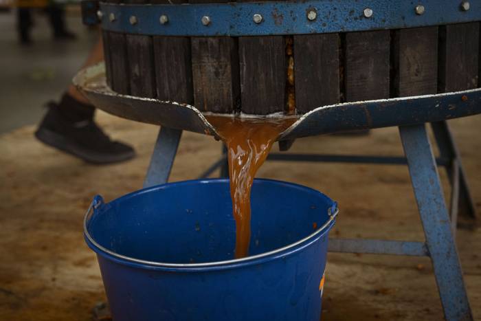 Sagarraren tradizioa plazara 31 1759588538020