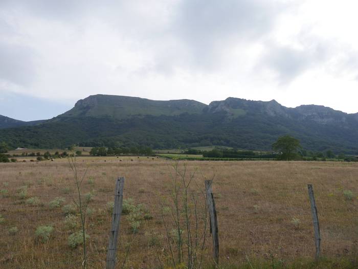 Tertangatik Delikarako bidea