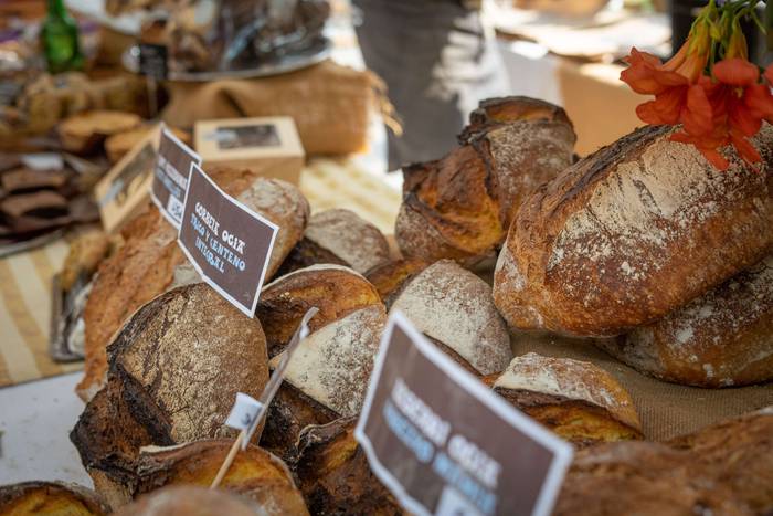 Kuadrillak protagonista Amur 15 1755188503804