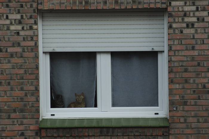 Larrazabal auzunean komunita 4 1588419155975