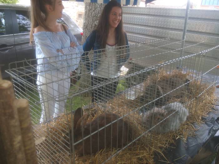 San Isidro Azokak jende ugar 27 1494852044765