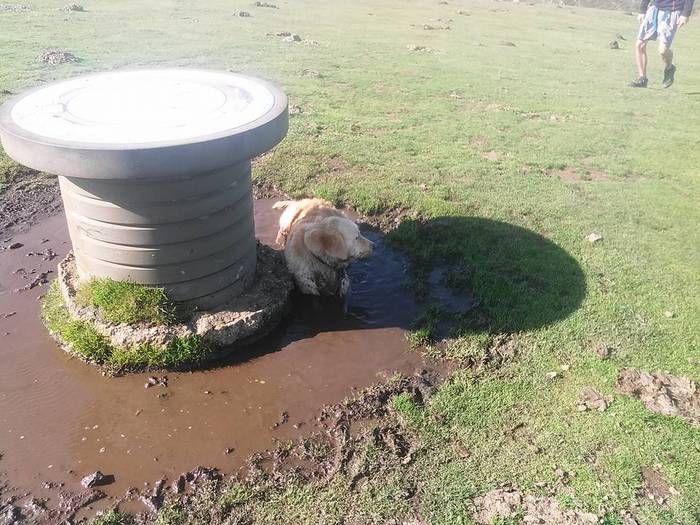 Eguraldia lagun, herritar ug 10 1506532873671