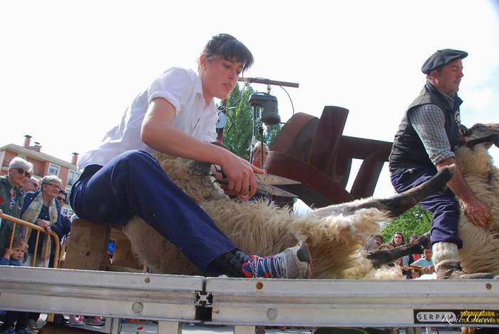 Eguraldia lagun, arrakastats 9 1505716639203