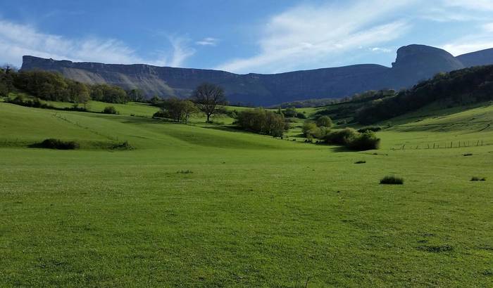 Edu Markinezen argazkiak 28 1513703577547