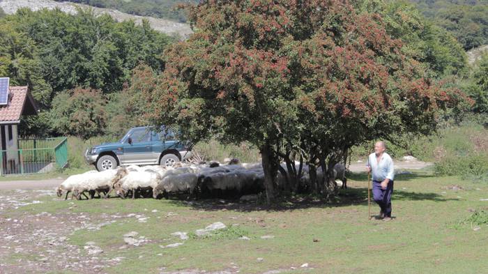 Sanbitoresak ospatzeko ehunk 244 1504516389423