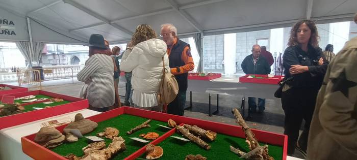 Ziza garaia iritsi da Urduña 27 1760971515064