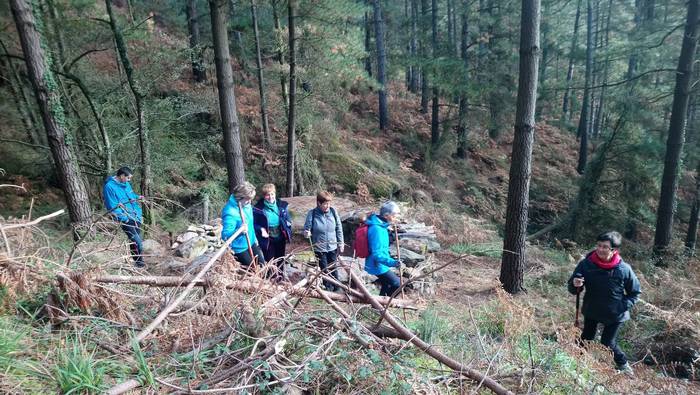 Gaztainaren kulturaren aztar 12 1511172621023