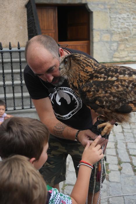 Falkoneria ikuskizuna antola 25 1752934035715