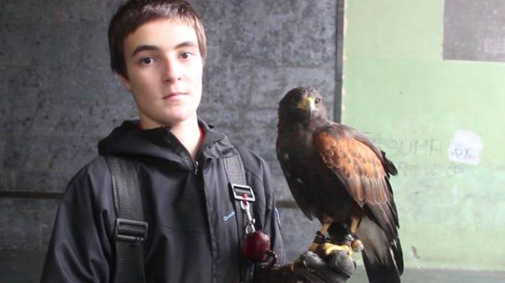 “Arranoa lodi badago hegan egiten du, baina ez dizu jaramonik egiten”