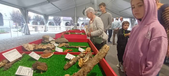 Ziza garaia iritsi da Urduña 12 1760971495730