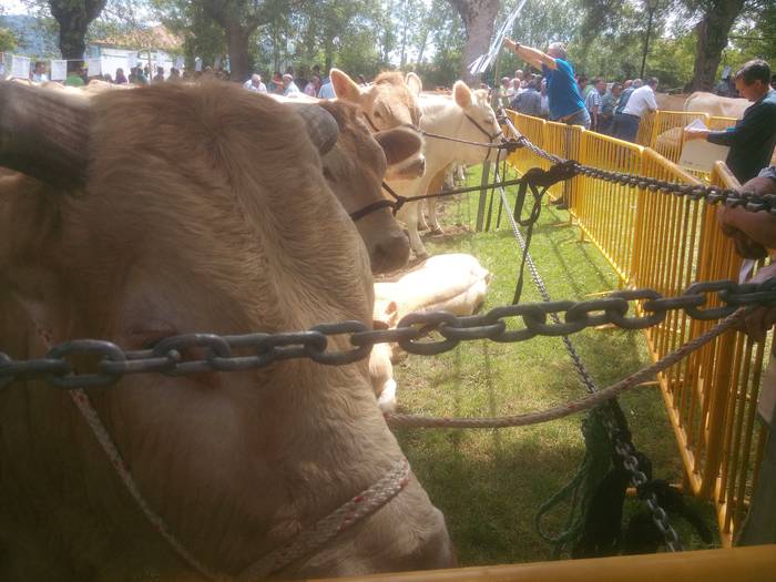 San Isidro Azokak jende ugar 68 1494853394358