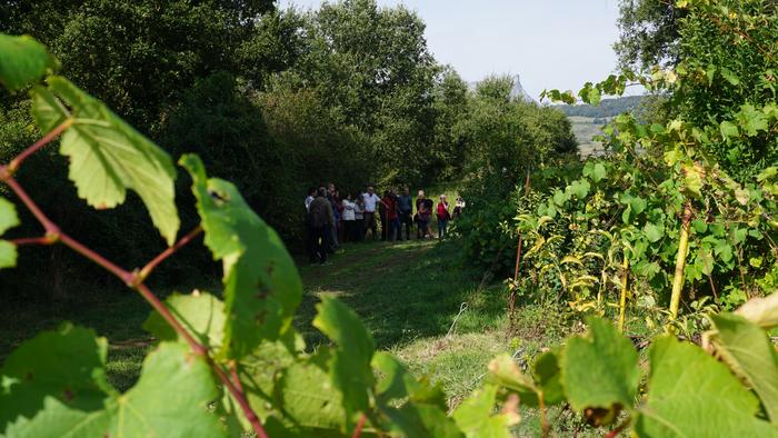 Txakolina Urduñan 19 1759234640331