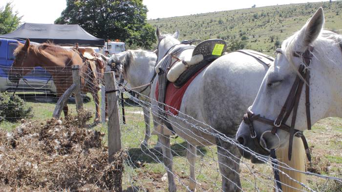 Sanbitoresak ospatzeko ehunk 253 1504516647409