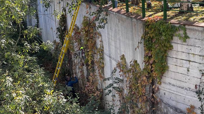 Txakur bat erreskatatu dute  8 1761824757001