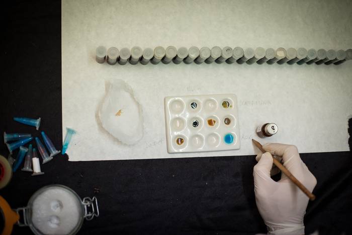 Urduñak lehen aldiz txertatuko du substantzien doako analisia otxomaioetan, maiatzaren 15eko goizaldean informazio gunea jarrita