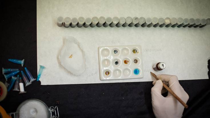 Urduñak lehen aldiz txertatuko du substantzien doako analisia otxomaioetan, maiatzaren 15eko goizaldean informazio gunea jarrita