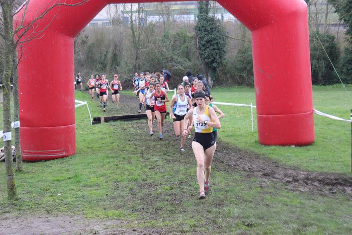 Ehunka lasterkarik bete ditu 73 1518373478439