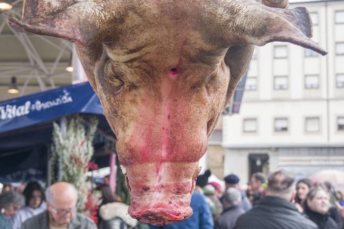 Egon diren, dauden eta egong 4 1769978578020