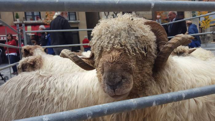 Landa mundua herrigunera jai 6 1510425300638