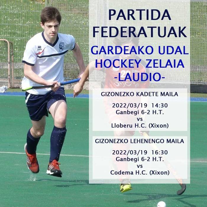Hockey partida federatuak