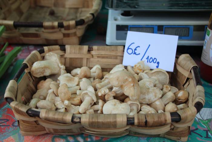 V.Azoka agroekologikoa