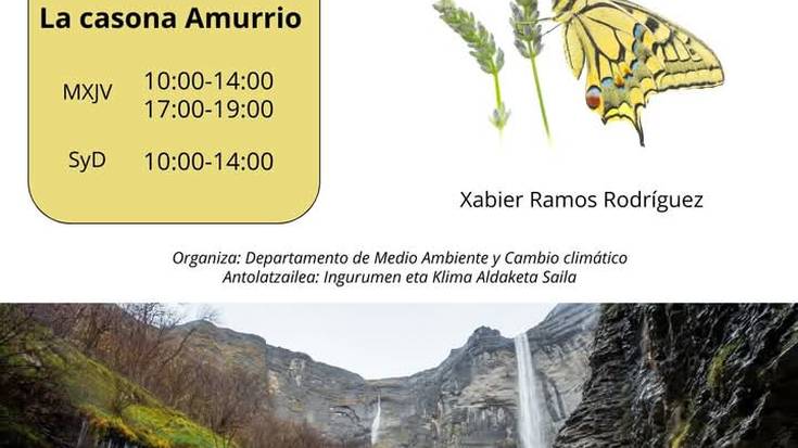 'Gorbeia eta Aiaraldeko altxorrak' erakusketaren inugurazioa