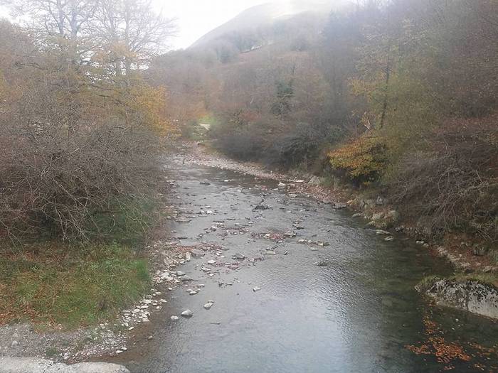 Iratiko basoan egon da asteb 4 1509432756472