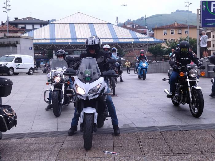 Motorzale ugari batu dira Ai 7 1750628296590