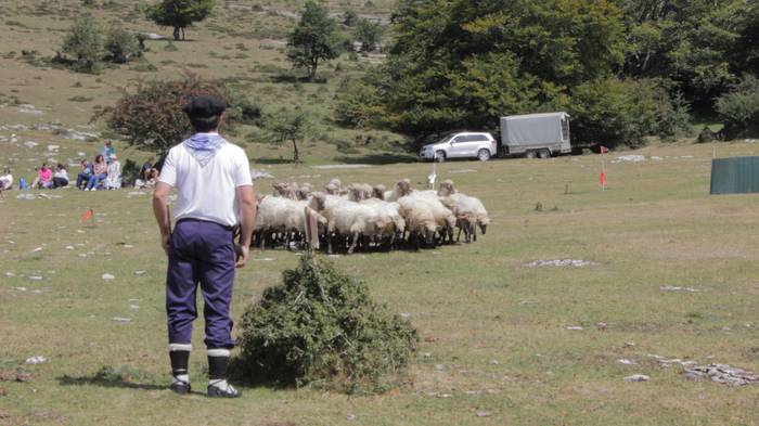 Sanbitoresak ospatzeko ehunk 171 1504514240772