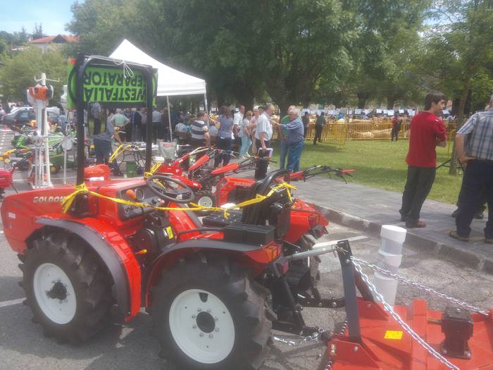 San Isidro Azokak jende ugar 24 1494851948127