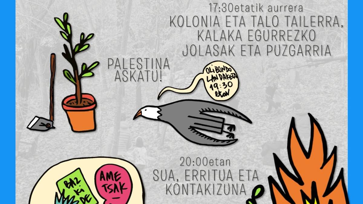 Udako solstizioa Basoa espazioan
