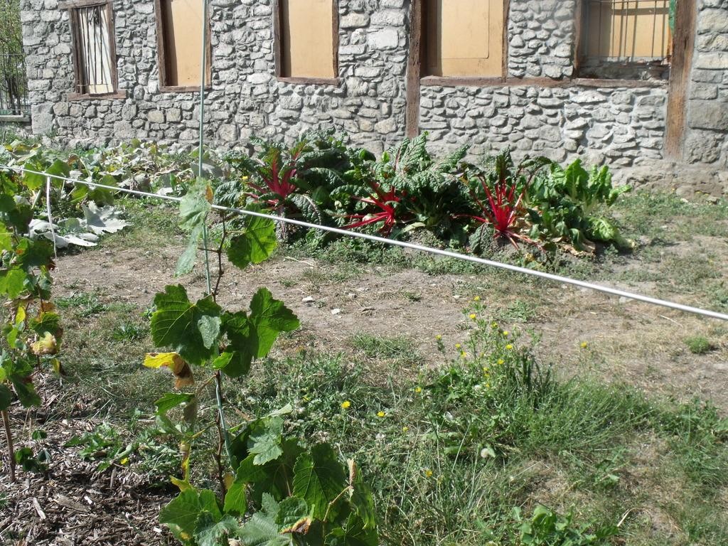 Euskadiko landa-eremuko emakumeen egunaren harira ekimenak izango dira