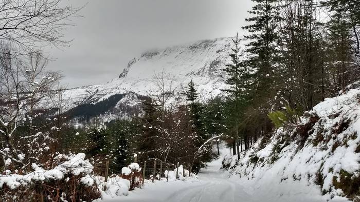 Gorbeialdea eta Orozko, elurtuta