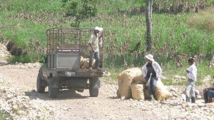 Lankidetza-proiektuak finantzatuko ditu udalak Nikaraguan, Guatemalan eta El Salvadorren