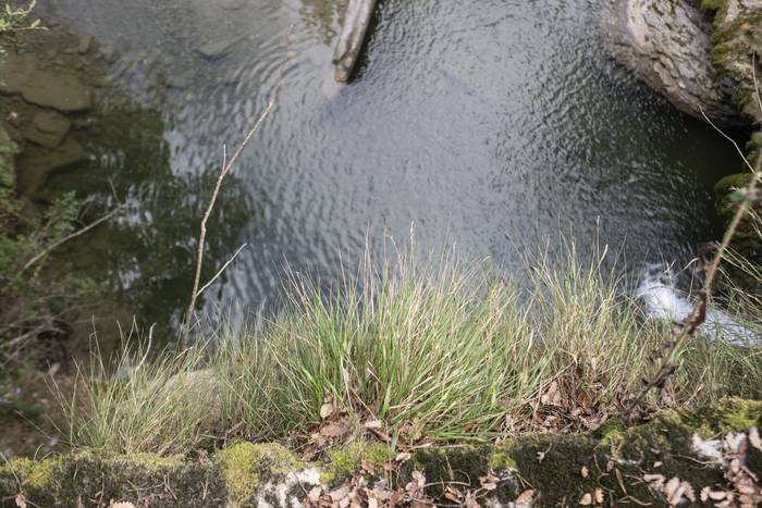 Eguraldia lagun izan zuten a 1 1756639256537