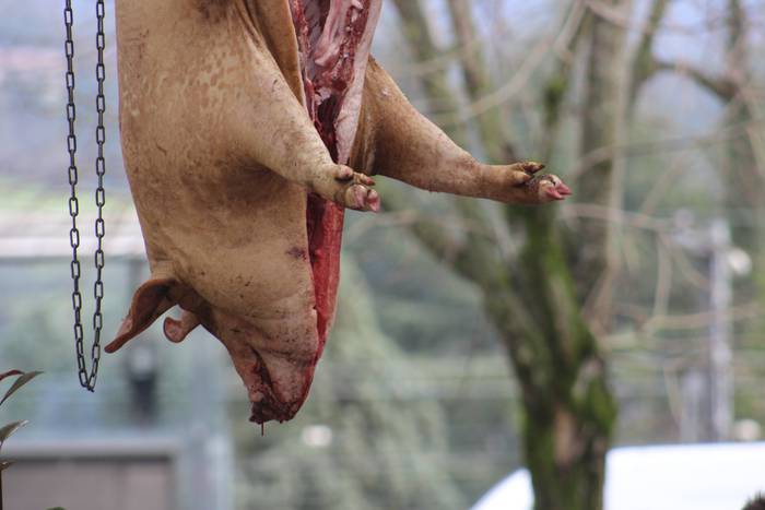 Ehunka ekoizlek eta bisitari 3 1516541647542