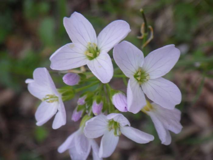 Agur esan baino arinago... 3 1523298175210