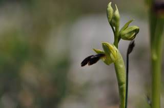 Itzultzeak 16 1619015041393