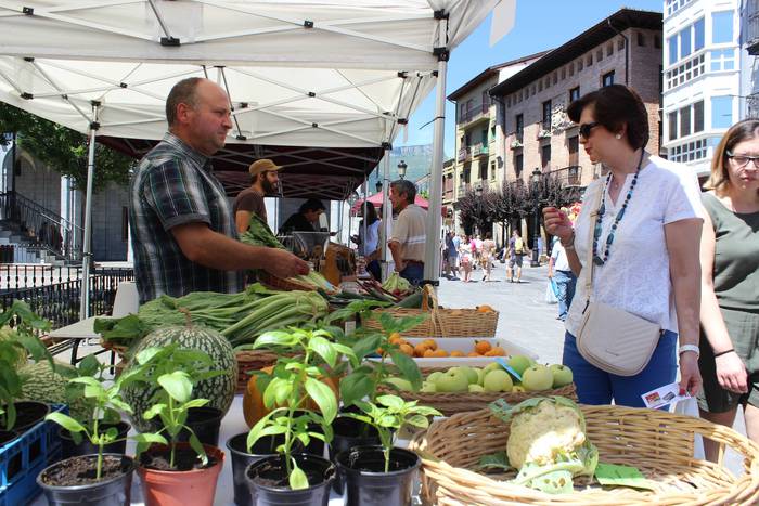 Txaroles lehiaketa batean ep 28 1497991814682