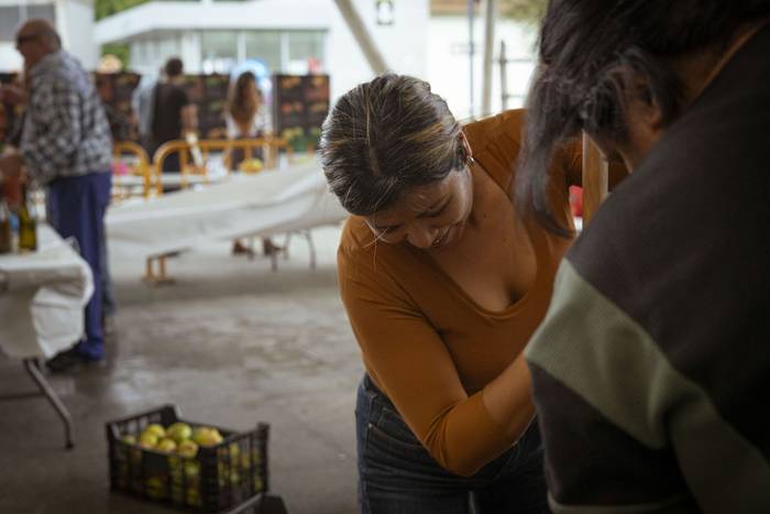 Sagarraren tradizioa plazara 22 1759588512330